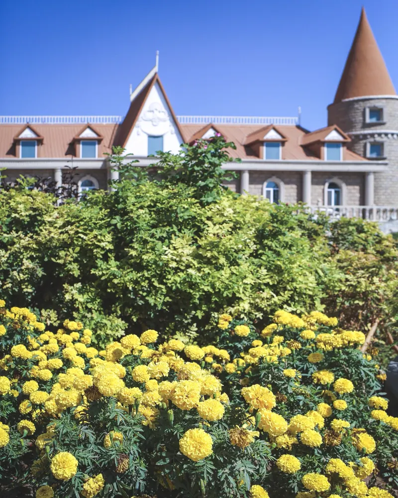 Marigolds in front of a stone winery building with a turret