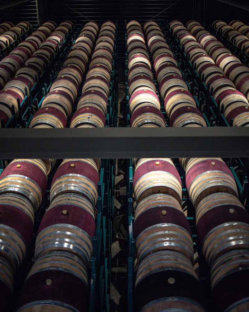 Rows of wine barrels stacked in a cellar