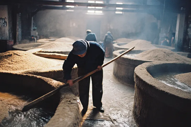 A brewer raking fermenting rice mash in a vat in a Shaoxing workshop
