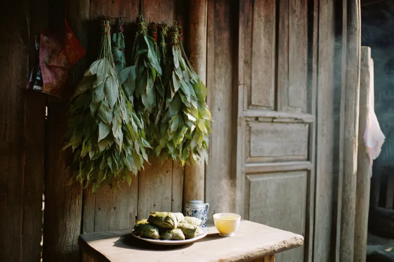 Mugwort and calamus at a doorway on Dragon Boat Festival, with a cup of realgar wine and zongzi
