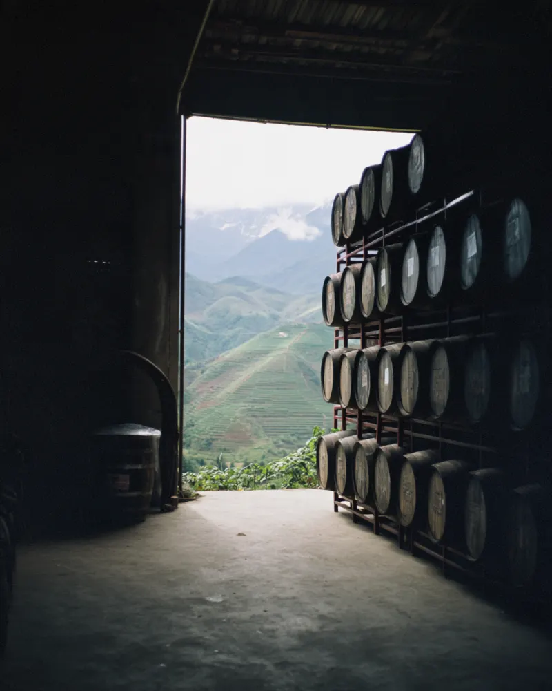 Oak barrels of whisky aging in a warehouse in the Yunnan highlands