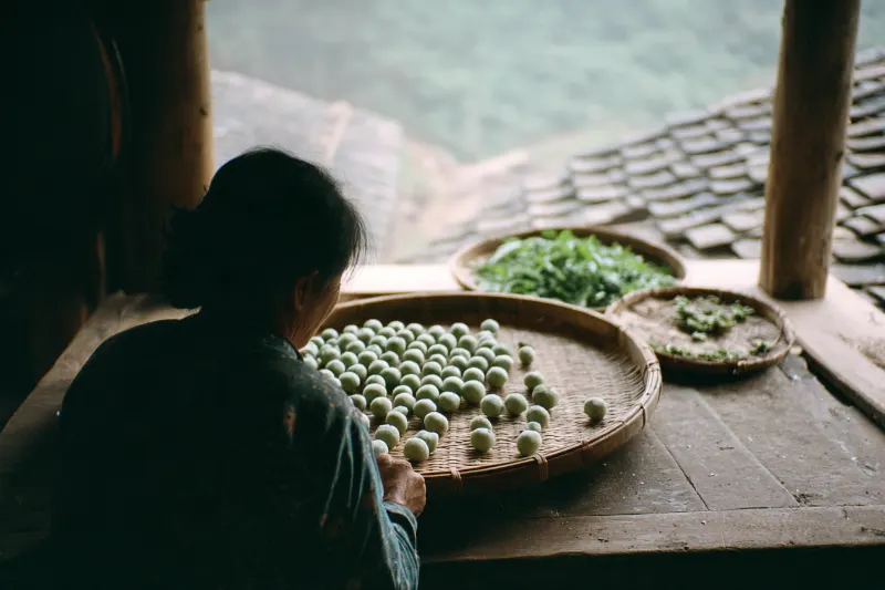 A woman rolling herbal wine starter balls in a Dong village, Guizhou