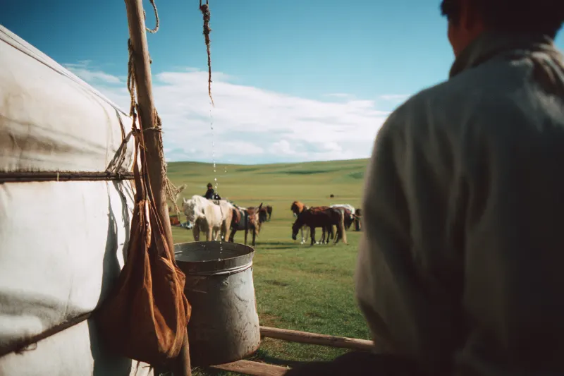 A herder churning mare's milk beside a yurt on the grassland
