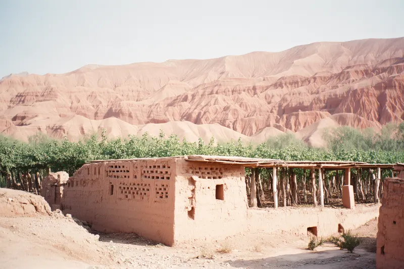 Mud-brick grape drying house and vineyards below the Flaming Mountains in Turpan, Xinjiang, China