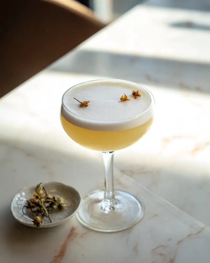 Osmanthus Sour in a coupe glass with white foam and dried osmanthus flowers