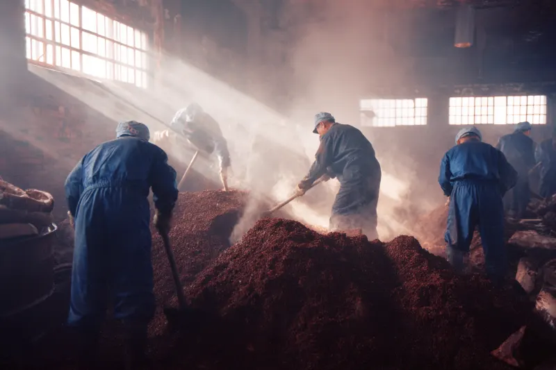 Workers turning steaming red sorghum in a Maotai distillery